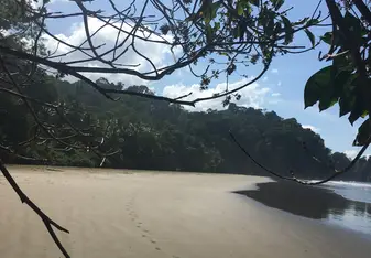 Playa Arco, Costa Rica- Walking Tree Travel