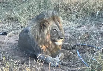  My life-changing trip with Discover Corps to South Africa!