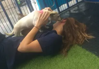 K-Pets Veterinary Clinic Ciudad Vierja