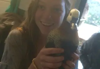 Helping with bird check-ups.