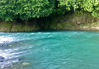 Swim