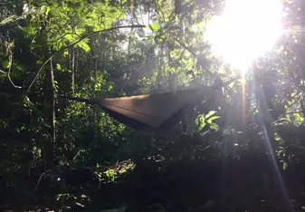 Camp