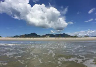Ilha do Cardoso
