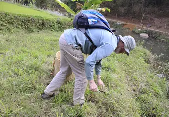 Cutting grass