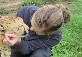 Discover wildlife in South Africa