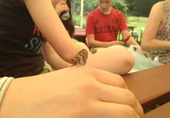 Butterfly, Debrzyno Summer Camp