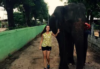 Walking the Elephants