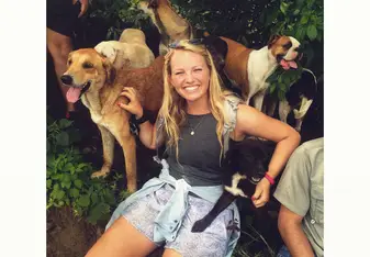 Dogs