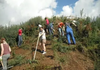Volunteers in Austria