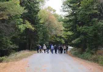 Luke and other program participants of Seguinland enjoying a walk on an autumn day