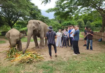 GLA in Thailand