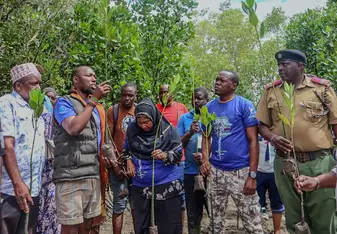 Mangrove restoration at Dongokundu
