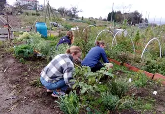 Samantha pictured helping with the garden