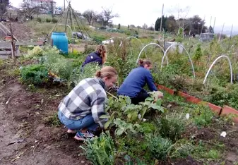 Samantha pictured helping with the garden