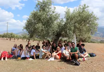 A group of students relaxing near a tree