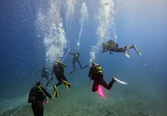 Diving