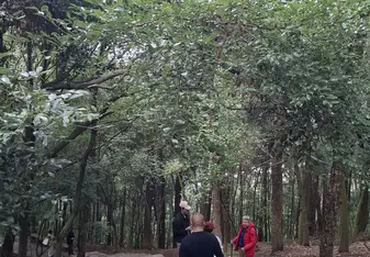 Free school activity to a historical temple