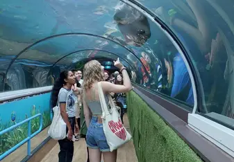 Students visiting aquarium in Sydney