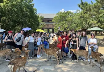 Petting Wild Deer in Nara