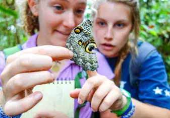 Students studying a butterfly.