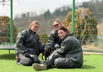 Volunteers in South Korea 