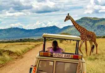 Safari jeep with giraffe in Tazania.