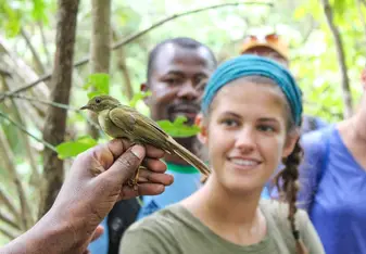 Students studying a bird in the rainforest.