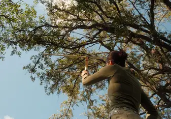 Tracking wildlife with VHF