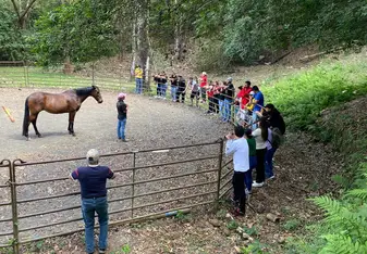 Students participate in interactive workshops focused on equine behavior, communication, and understanding horse body language through observation and hands-on learning