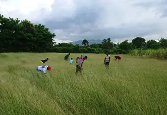 Agricultural 