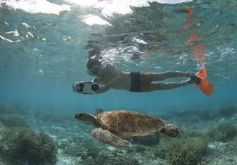 man snorkeling with turtle in Queensland