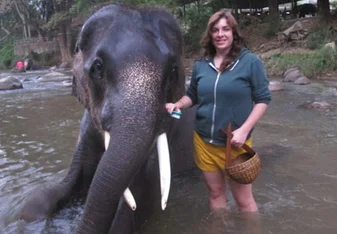 Bathing an elephant