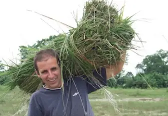 Man lifting crops