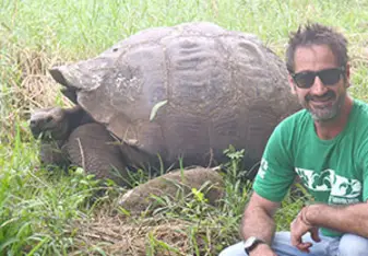 Galapagos tortoise