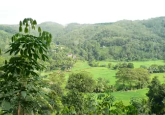 South East Asia Scenery 
