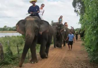 Volunteers riding elephants in Thailand