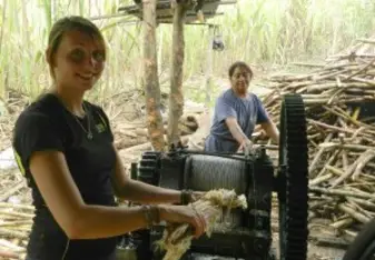 Volunteering through Eco Volunteer UP in the Cloud Forest