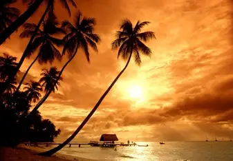 Costa Rican Beach