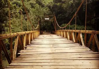 bridge