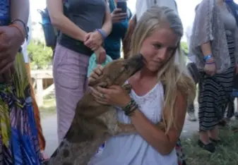 Volunteering with Animals 
