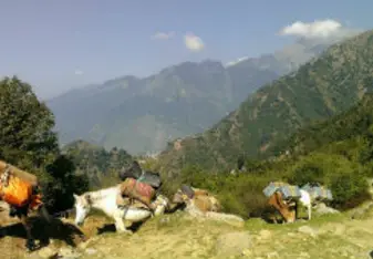 A small village in India.