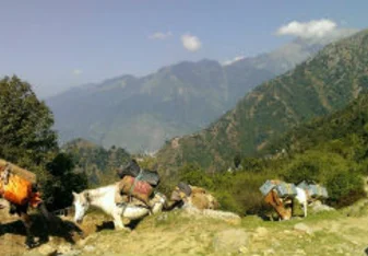 A small village in India.