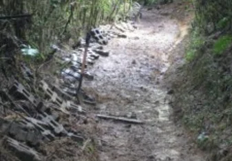 Trail work in progress in Reserva Forestal Rio Macho