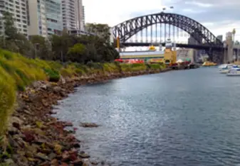 Lavender Bay