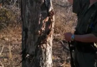 Habitat assessment