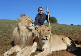 lions 