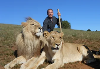 lions 