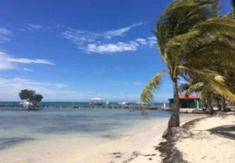 Downtown Caye Caulker