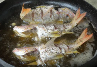 Fish