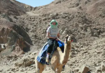 Sinai camel riding